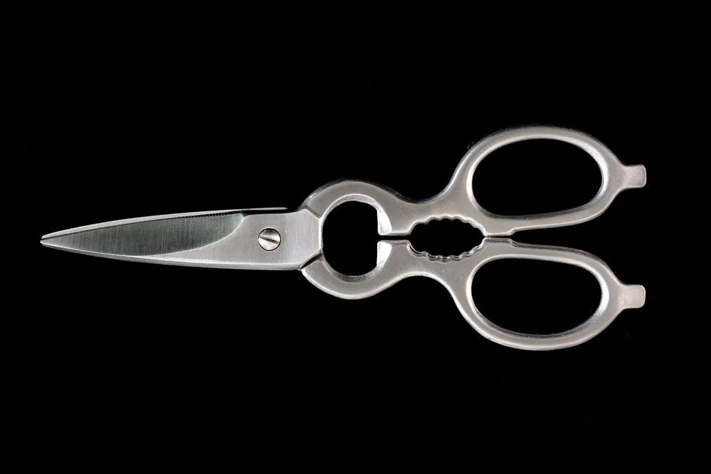 200mm Stainless Kitchen Scissors