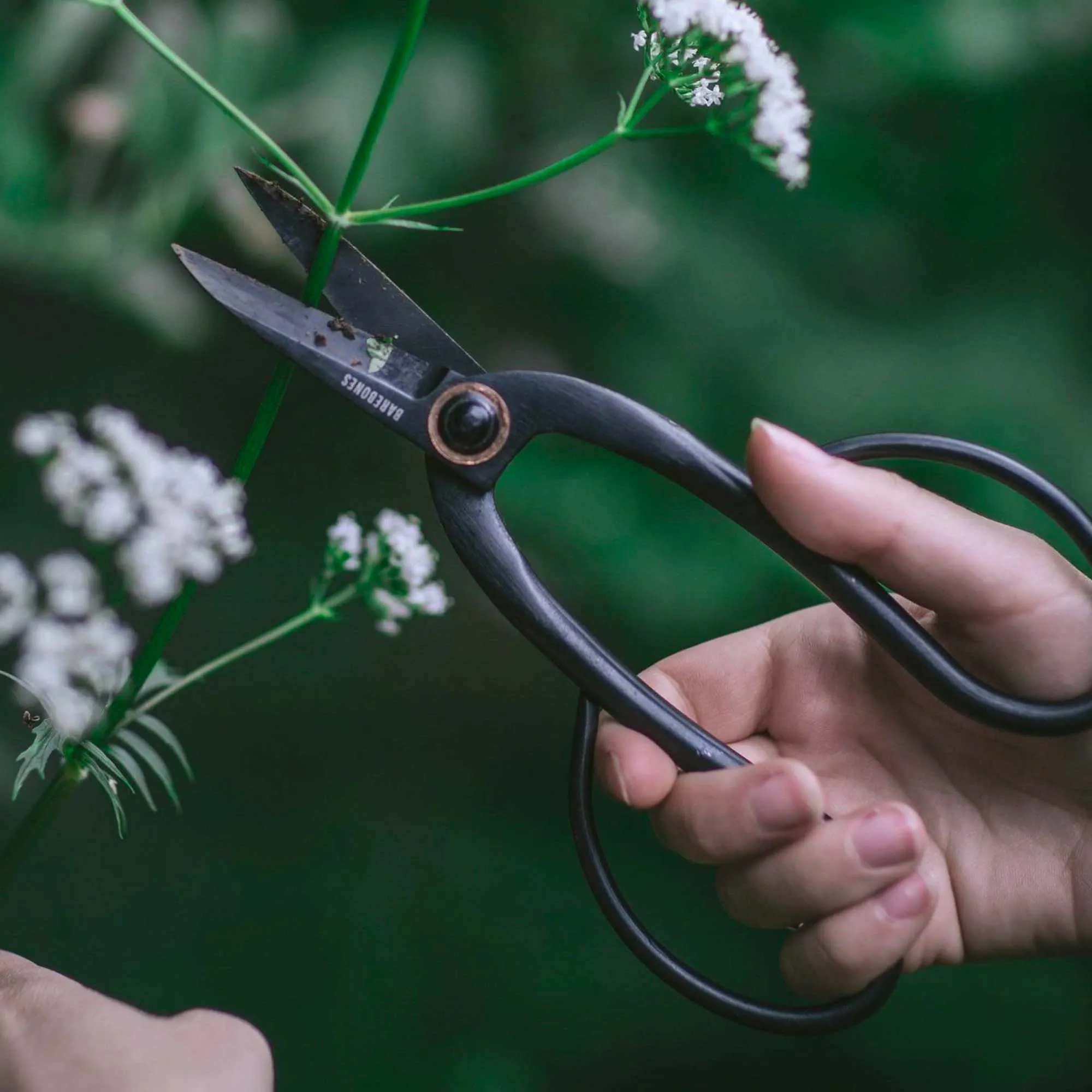 Artisan Pruning & Trimming Shears