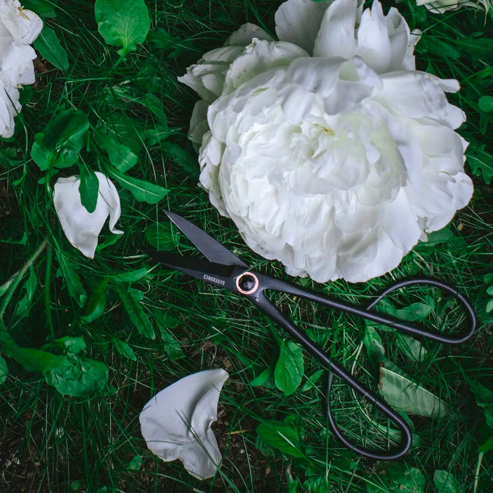 Artisan Pruning & Trimming Shears