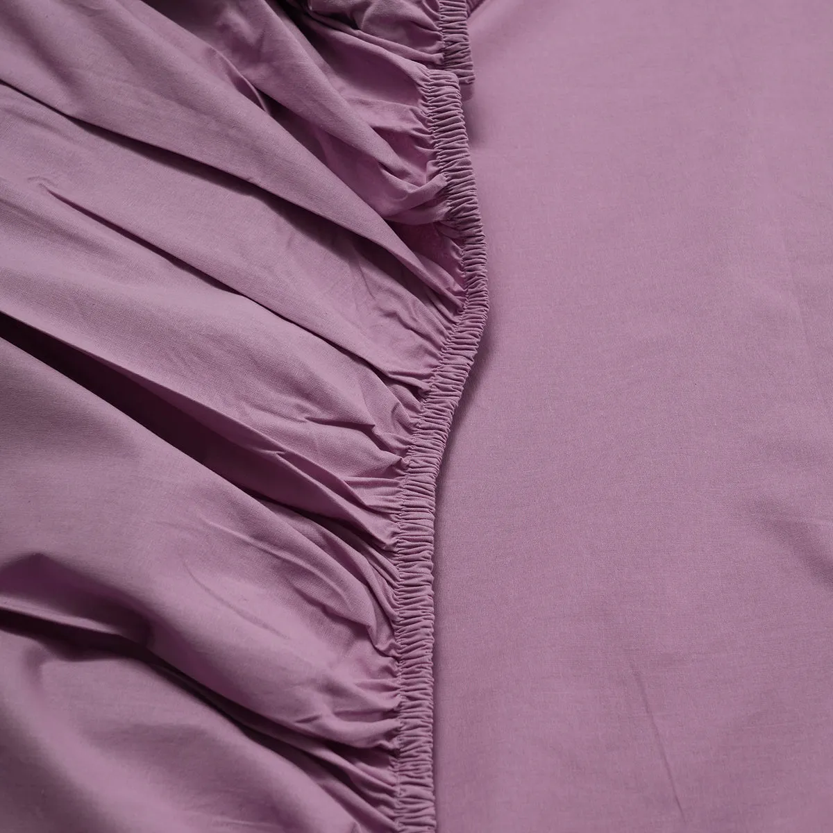 Eden Crisp & Light Weight 100% Cotton Solid Purple Fitted Sheet