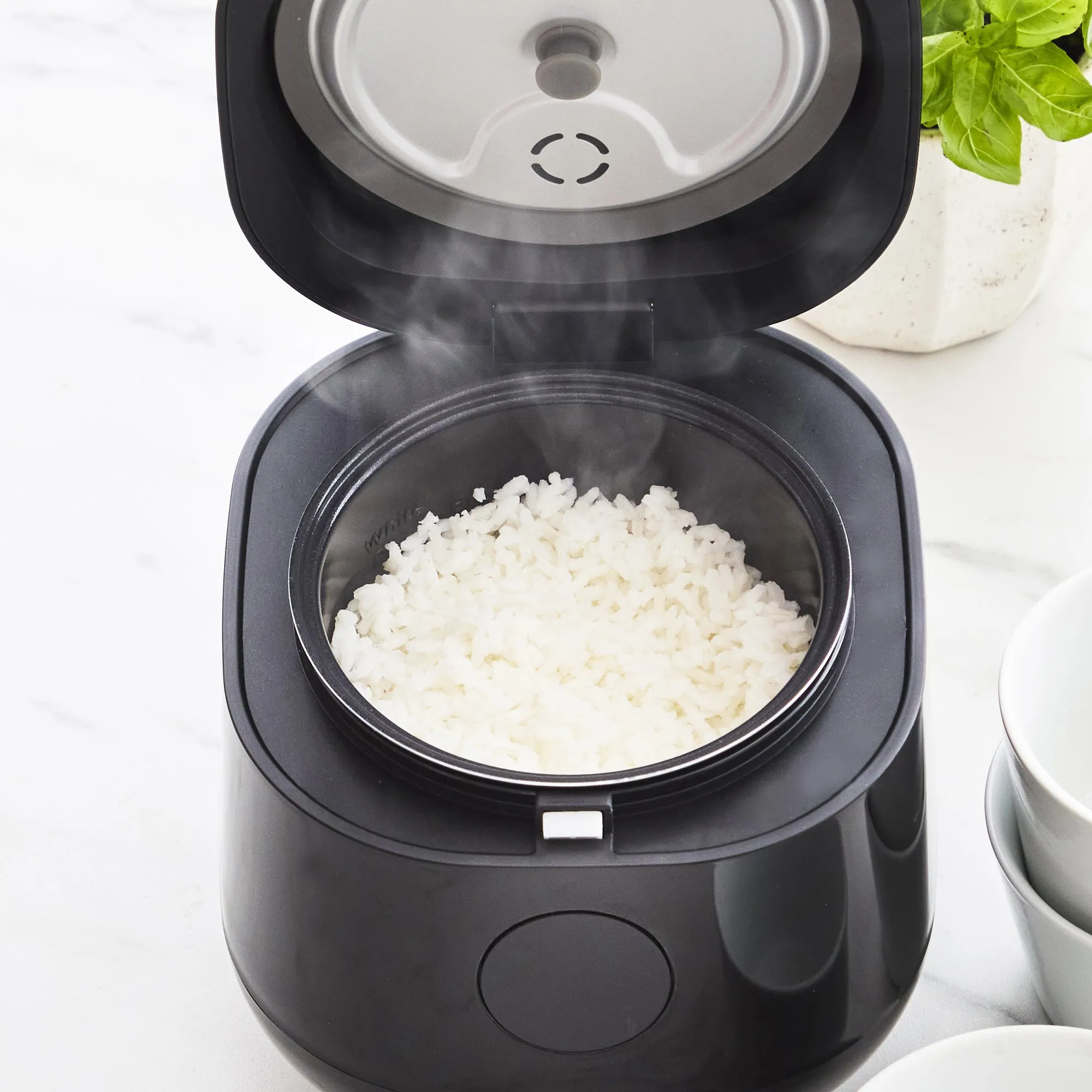 Go Grains Rice Cooker