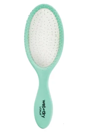 WET-N-DRY HAIR BRUSH-MINT